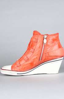 Ash Shoes The Genial Bis Sneaker in Coral Nappa  Karmaloop 