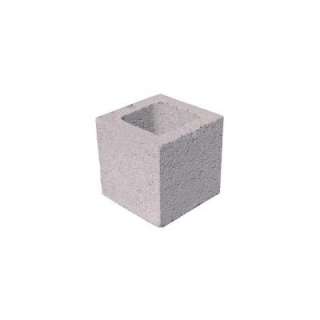 in. x 8 in. x 8 in. Concrete Block 088B0050100100 