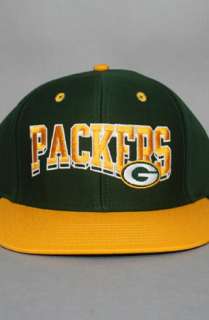 123SNAPBACKS Green Bay Packers Snapback HatWaveGrnYel  Karmaloop 