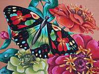 ACEO Exotic Butterfly insect Zinnia print of painting  