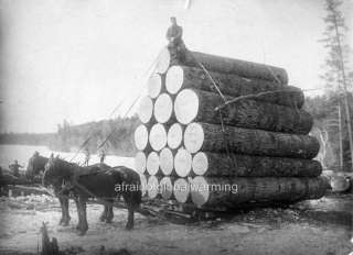 Photo 1880s Clare, Michigan Bear Lake   Horses Hauling Lumber  