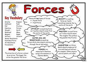 Science Display Resource   Forces Fact Mat  