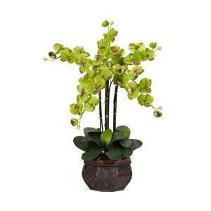 Phalaenopsis with Decorative Vase Silk Flower Arrangement   Nearly 