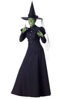 Wicked Witch Adult   Full length gown, tulle petticoat, hat with tulle 