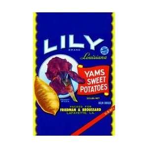  Lily Brand Yams Sweet Potatoes 12x18 Giclee on canvas 