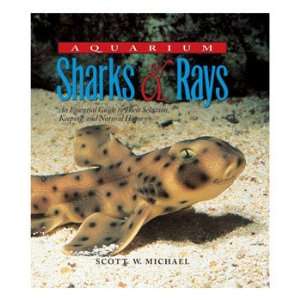  Aquarium Sharks and Rays