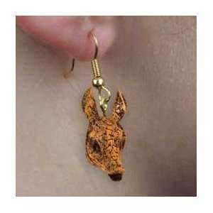  Armadillo Earrings Hanging 