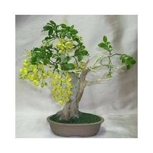  Artificial Flowering Golden Shower Bonsai Tree. Patio 