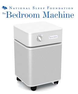 Austin Air Cleaner HM402 Bedroom Machine  