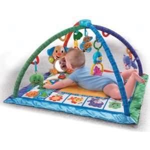  Fisher Price Songs and Smiles Discovery Gym Baby