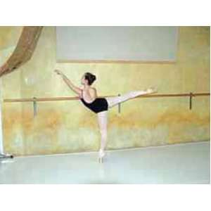 Ballet Bar   Wall Mounted   Non Adjustable; Standard Drilling