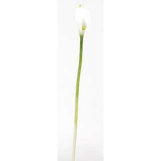   12 ARTIFICIAL SILK Calla Lilly Fake FLOWERS By The Stem Flower CREAM