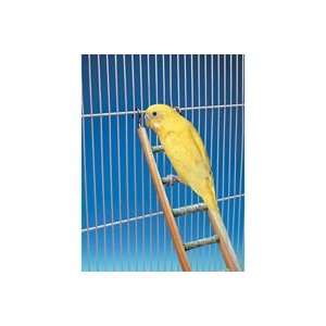   Penn Plax 5 Step Ladder   Assorted Colors   Small Bird