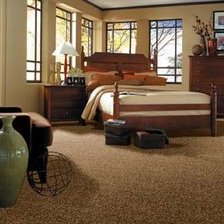 Shaw Tuftex My My My Carpet  