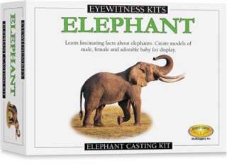 Elephant Model Cast Paint Kit Science Project  