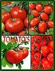 Vegetable TOMATO Garden Lot ~ Over 300 Fresh Seeds ~ 4 Varieties ~ Non 