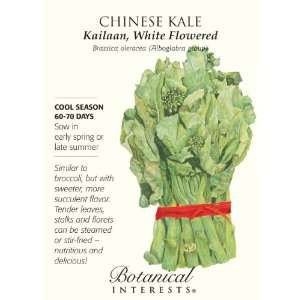  Kale Chinese (Kailaan) Seed Patio, Lawn & Garden