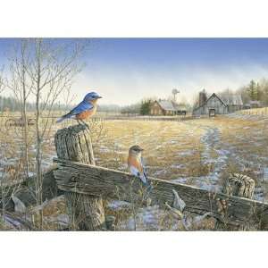  Country Bluebirds Jigsaw Puzzle 1000 Piece by Cobble Hill 