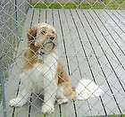 Kennel Deck dog floor(6 pack$29.83 ea) kennel plastic outdoor dog pen 