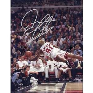  Steiner Chicago Bulls Dennis Rodman Autographed 16x20 