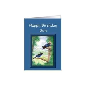   Happy Birthday Son General Blank Stellar Jay, Birds Card Toys & Games