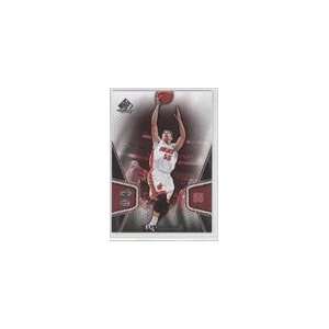    2007 08 SP Game Used #49   Jason Williams Sports Collectibles