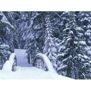  Snow Covered Bridge and Fir Trees, Washington, USA Premium 