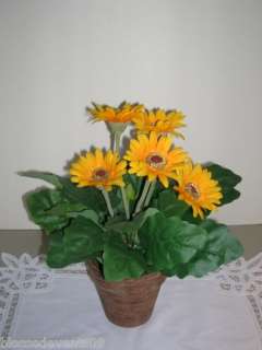 ONE RAZ IMPORTS 12 SPRING FLORAL POTTED YELLOW GERBERA DAISY  