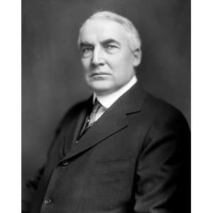 The Honorable, Warren G. Harding, Portrait   16x20 Photographic 