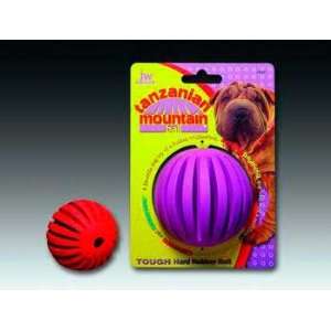  Top Quality Chompion Middleweight Rubber Dumbbell Pet 