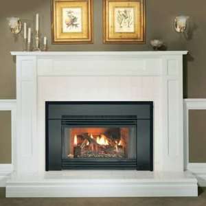  Napolean Fireplaces GI3600N Gas Fireplace Insert