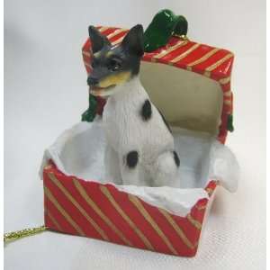  Rat Terrier Dog Figurine   Holiday Red and Gold Gift Box 
