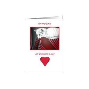 Boyfriend Valentines Day  Handpainted Cat Print in Red,Black & White 