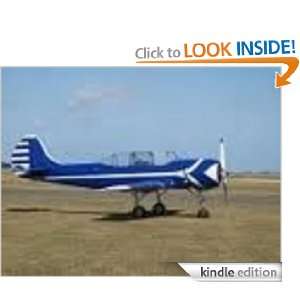 The History Of Flight Brenda Van Niekerk  Kindle Store