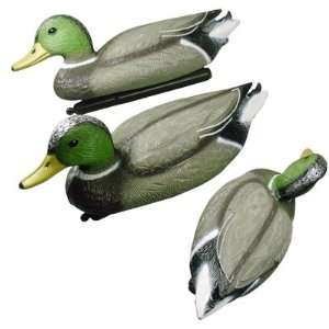   Drake Waterfowl Hunting Duck Decoys w/ Weighted Keels 