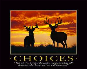 CHOICES WHITETAIL DEER SHEDS ANTLERS ART # MVP59  