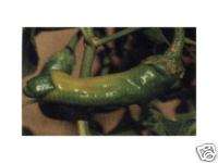 Super Hot X Rated PETER PEPPER seeds  