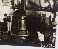   TREE Photo White CAT Pot Belly STOVE Postcard ?*NR NICE Detail  