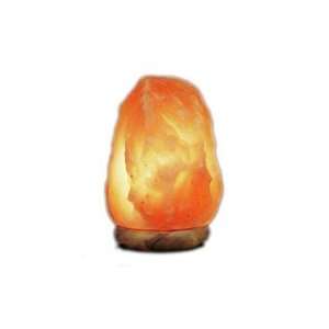    Himalayan Crystal Rock Salt Lamp ~ Small Size