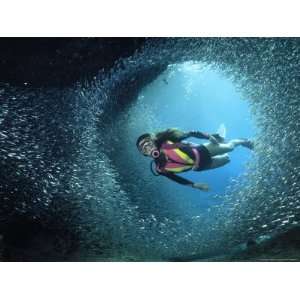 Scuba Diving, Silversides Cave, Caribbean Sea, Mexico Photos To Go 