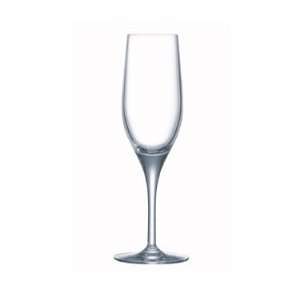  Sensation Exalt Arcoroc 6 1/4 Oz. Champagne Flute   8 1/4 