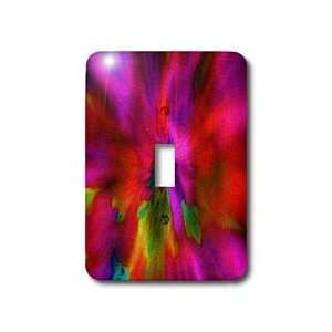 Yves Creations Abstract   Pink Red Sonic Boom   Light Switch Covers 