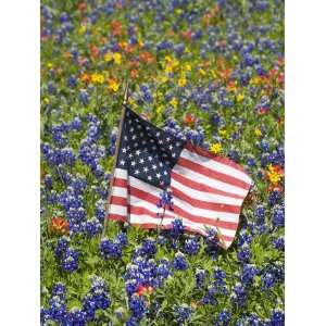  American Flag in Field of Blue Bonnets, Paintbrush, Texas 