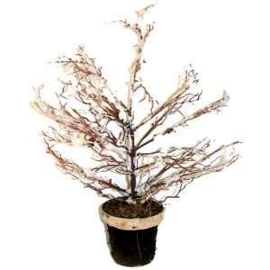   Good Tidings 57575 Potted Twig Tree with Snow, 16 Inch