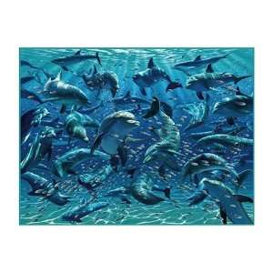    Sunsout Twister Dolphin 500 Piece Jigsaw Puzzle Toys & Games
